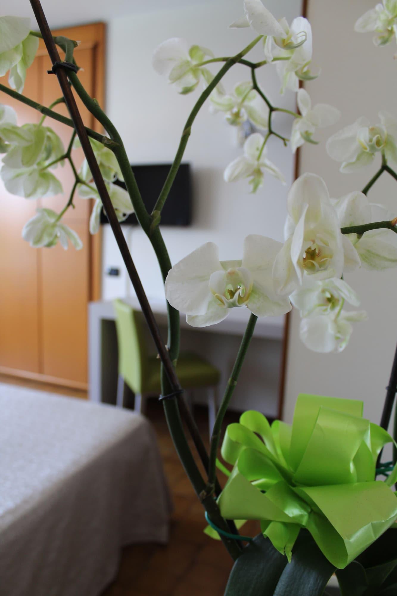 Hotel Residence Holiday Aparthotel 3*